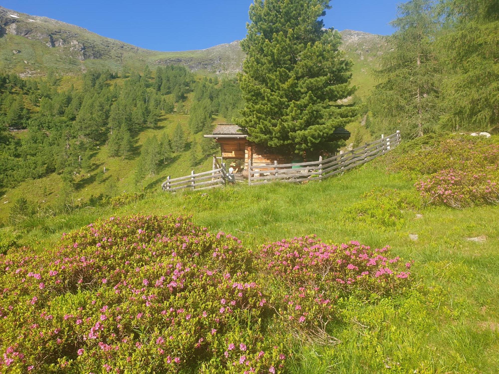 Ferienwohnung Aignerhof Schellgaden Экстерьер фото