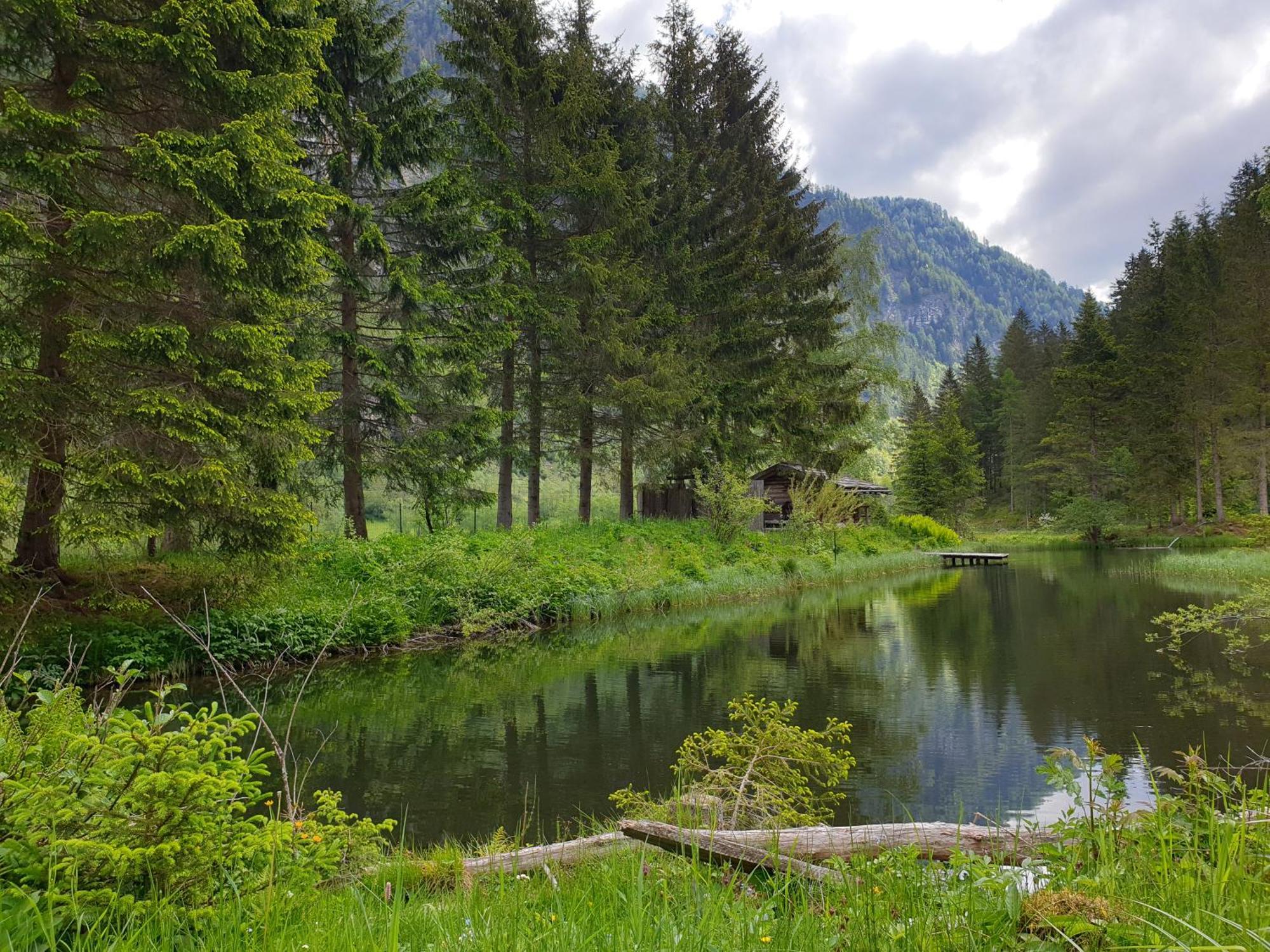 Ferienwohnung Aignerhof Schellgaden Экстерьер фото